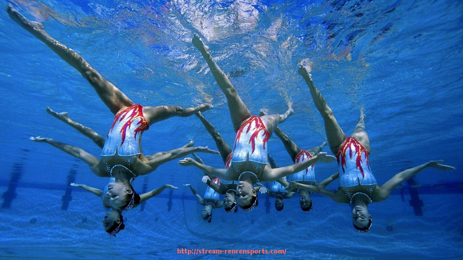 人人体育直播-世俱杯赛事信息化管理系统架构与运行机制